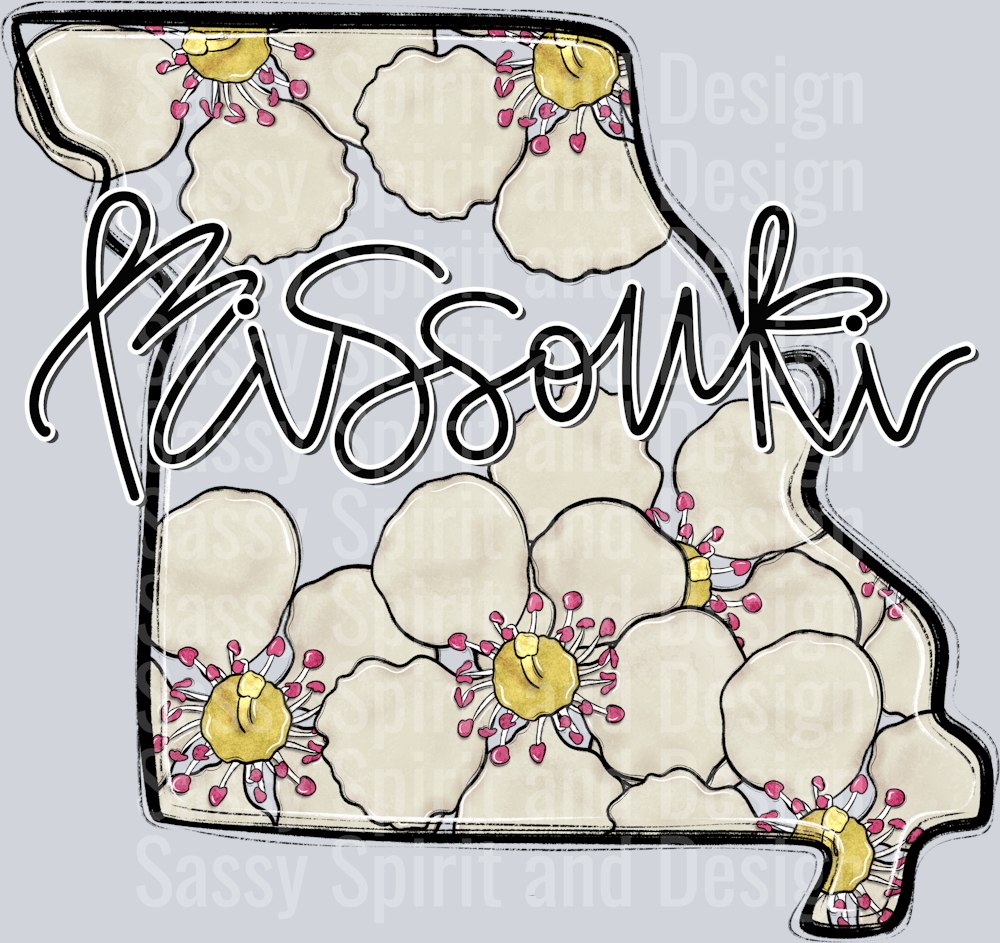 MISSOURI WHIMSY STATES