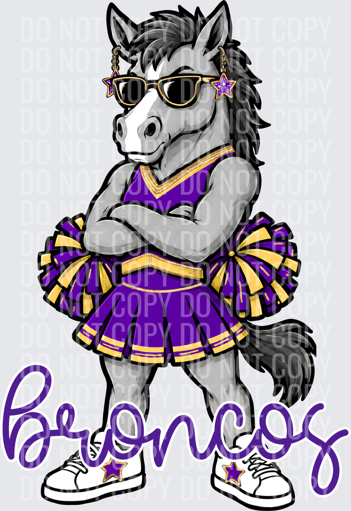 Broncos Cheer Purple Gold