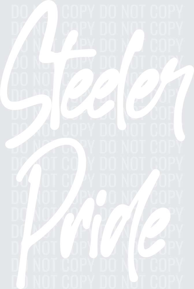 SteelerPride2