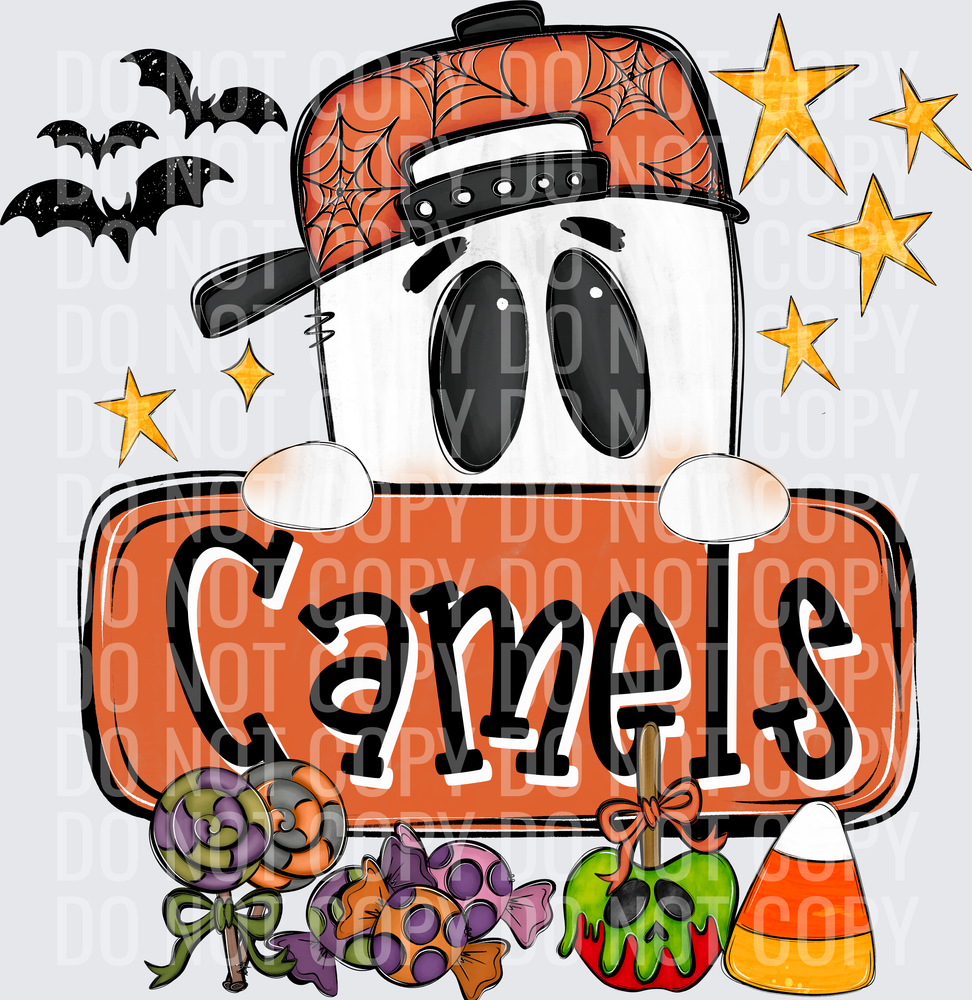 Camels