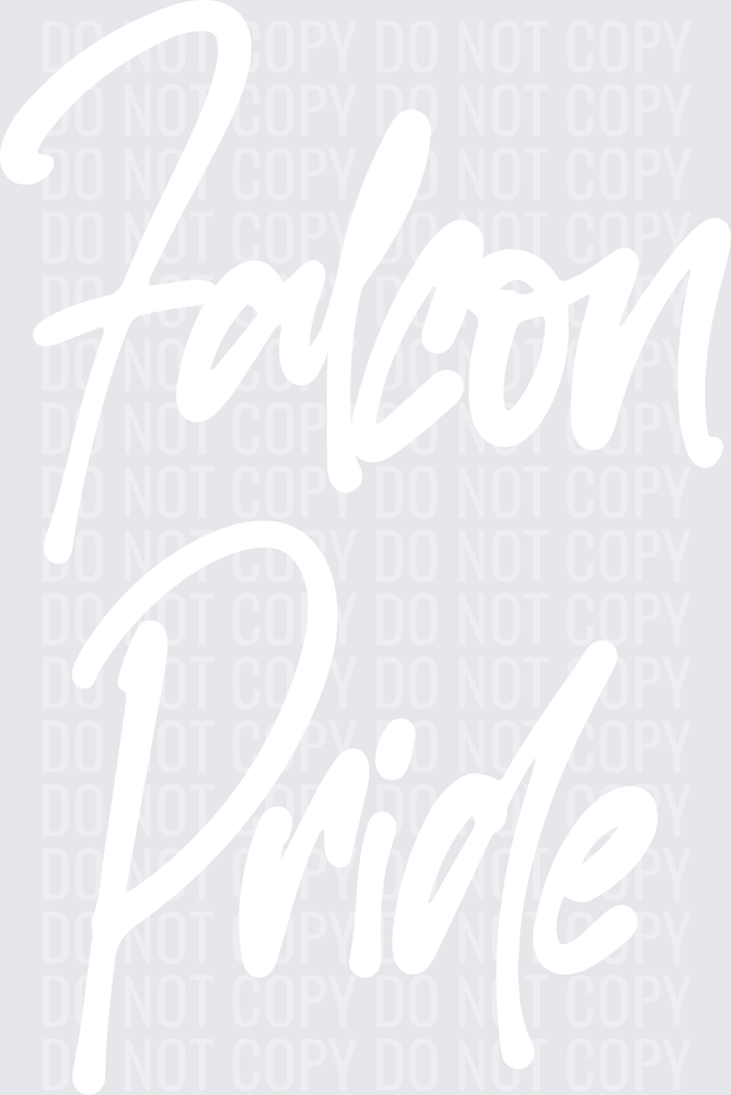 FalconPride2