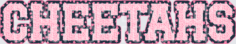KayndiDesigns 08.26 Varsity Stars Cheetahs
