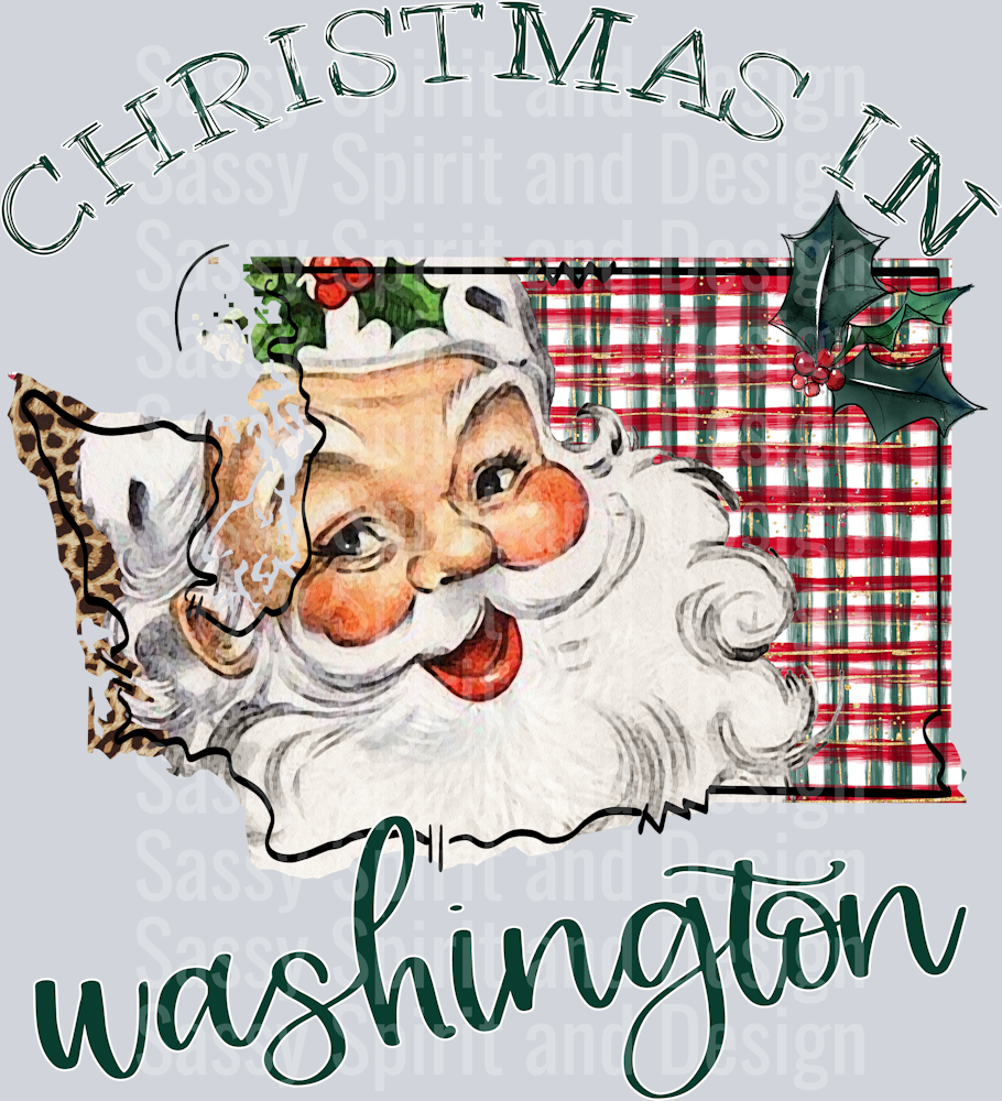 Christmas in State Santa State Set WASHINGTON
