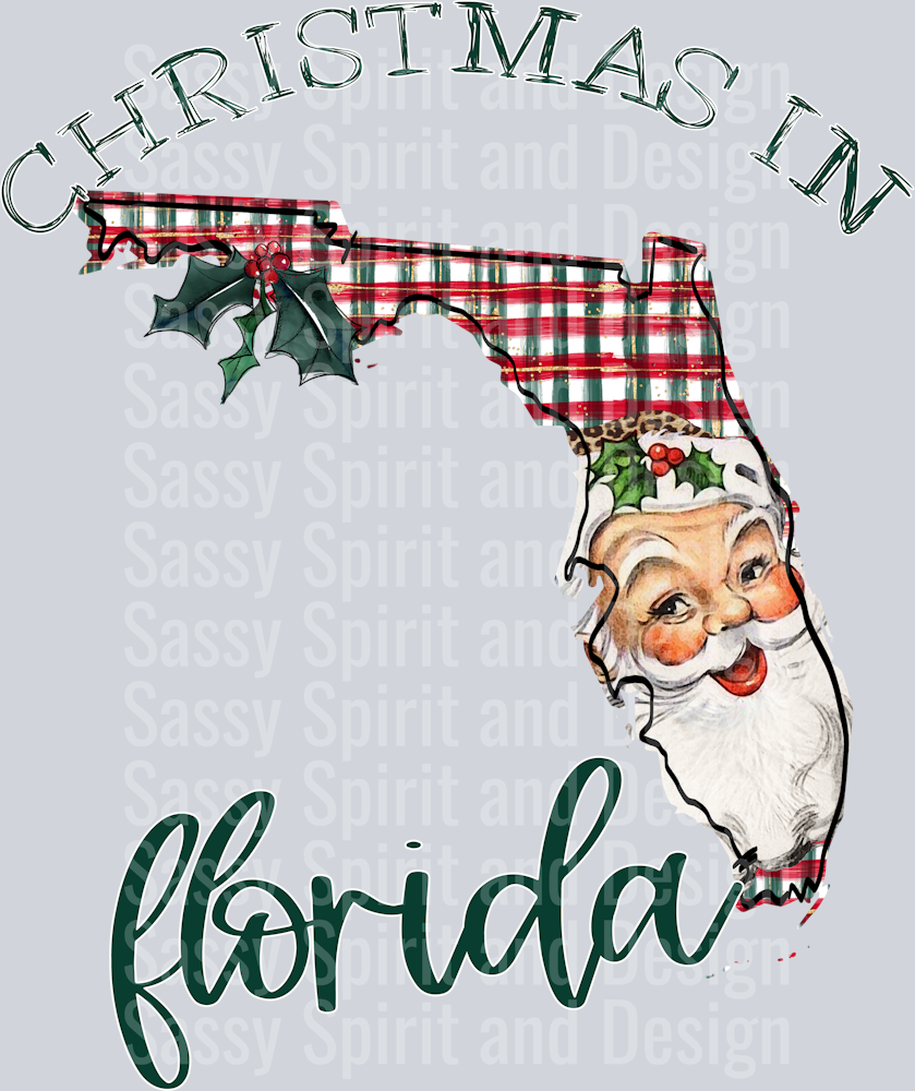 Christmas in State Santa State Set FLORIDA