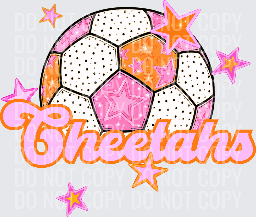 CHEETAHS (2)
