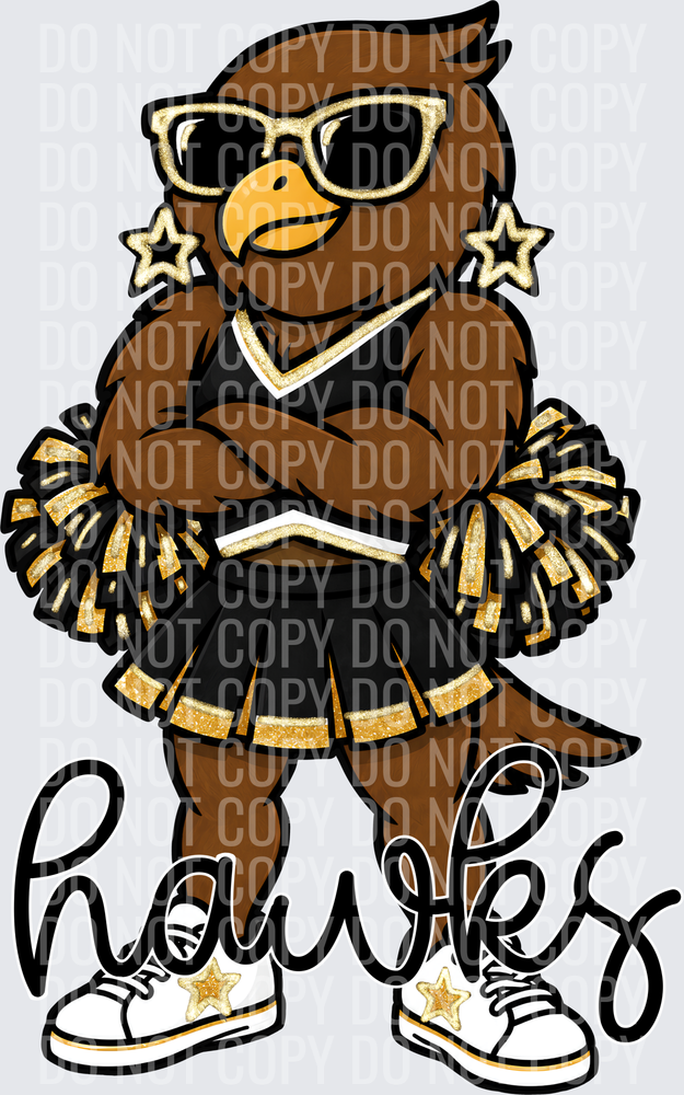 Hawks Cheer Black Gold