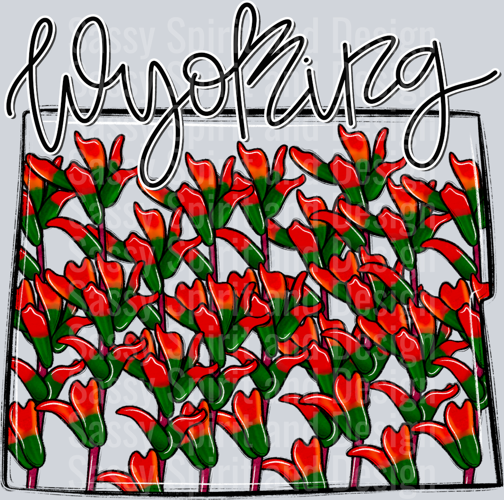 WYOMING WHIMSY STATES