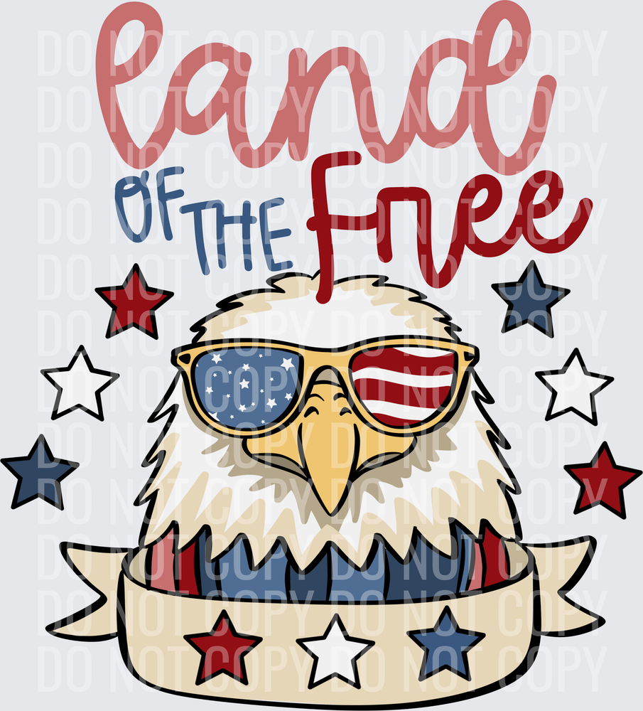 Land Of The Free Eagle