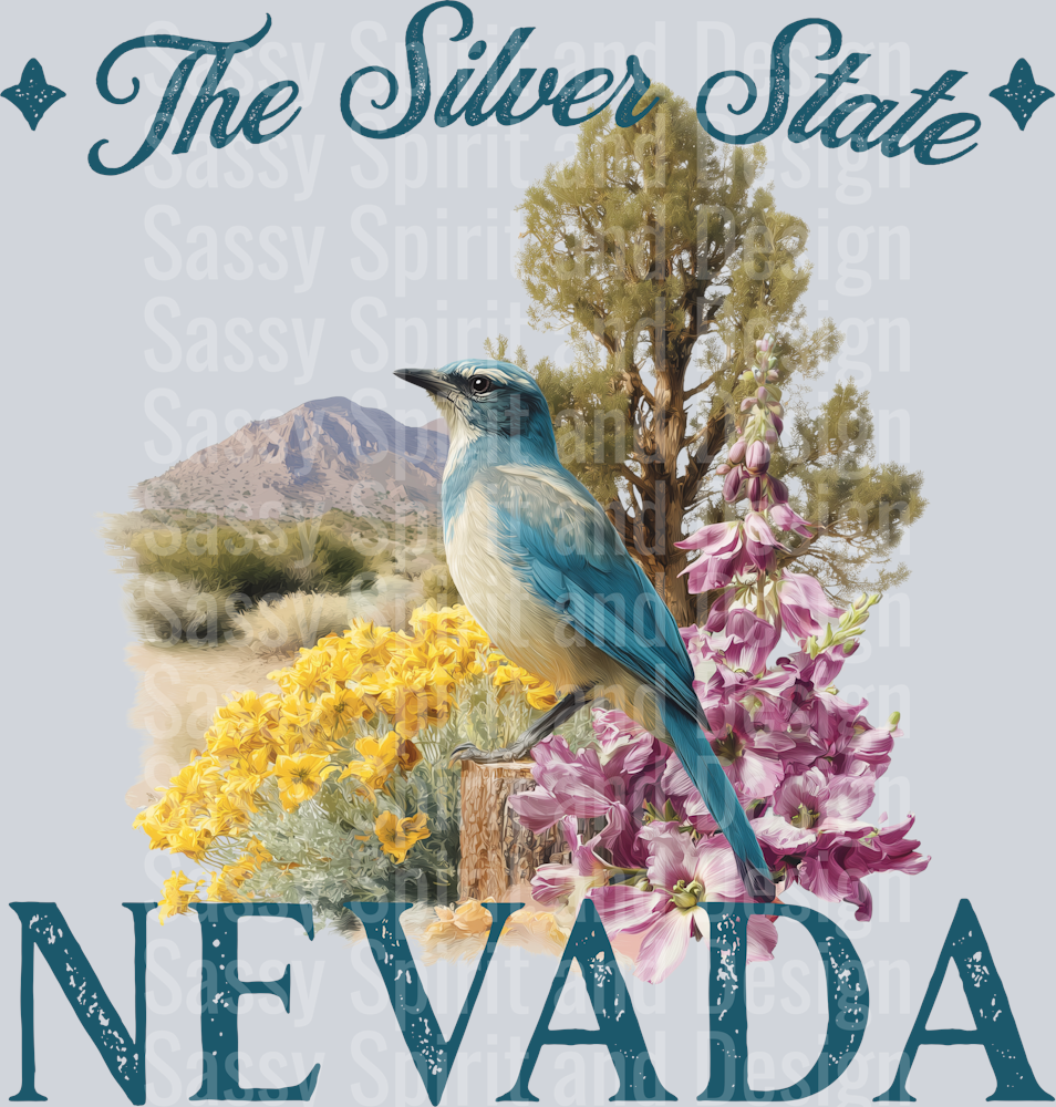 VINTAGE STATES NEVADA