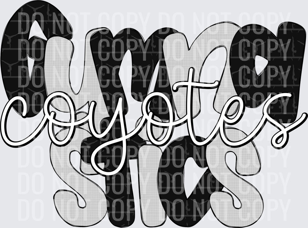 CoyotesBlackSilver-Gymnastics