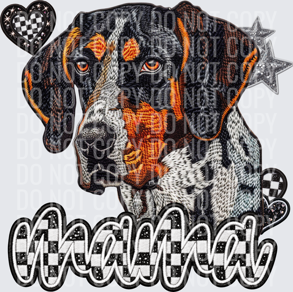 BluetickCoonhound