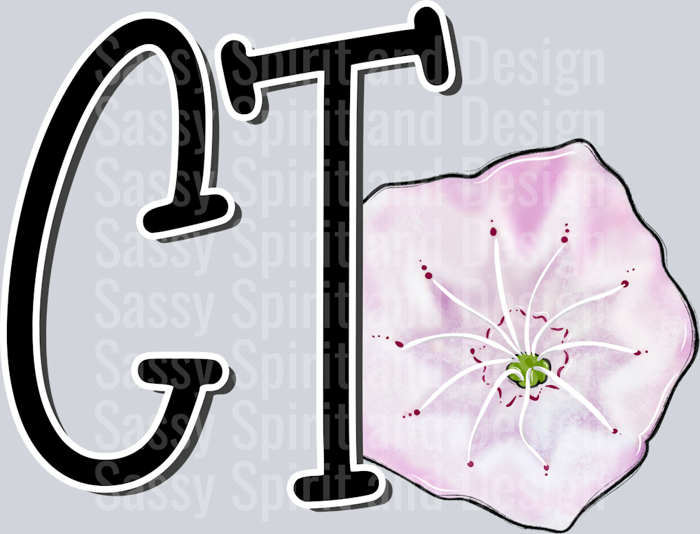 CONNECTICUT Whimsy Pockets