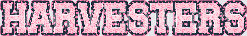 KayndiDesigns 08.26 Varsity Stars Harvesters