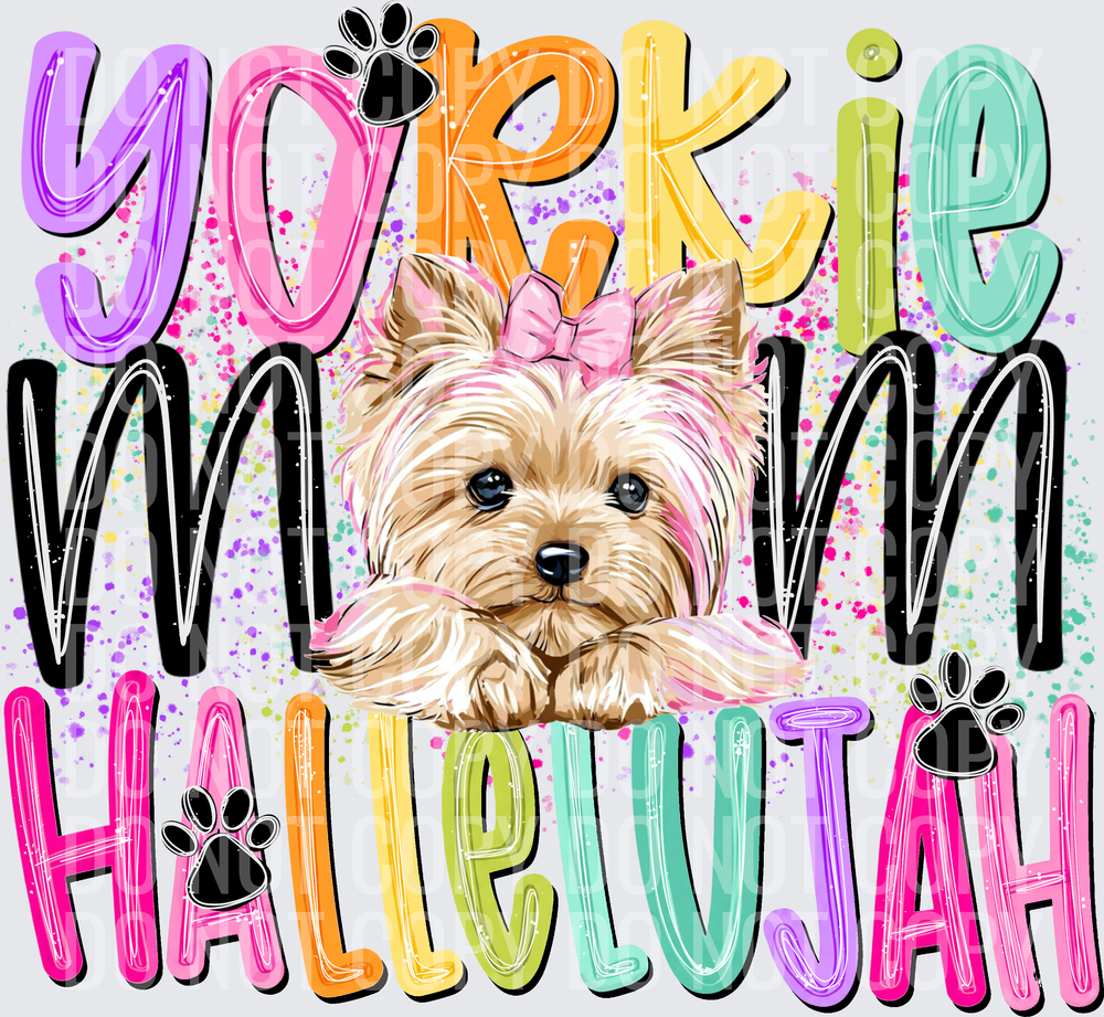 Yorkie