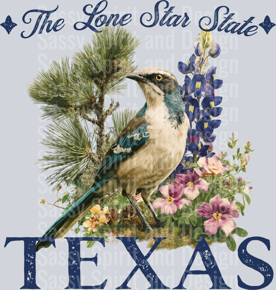 VINTAGE STATES TEXAS