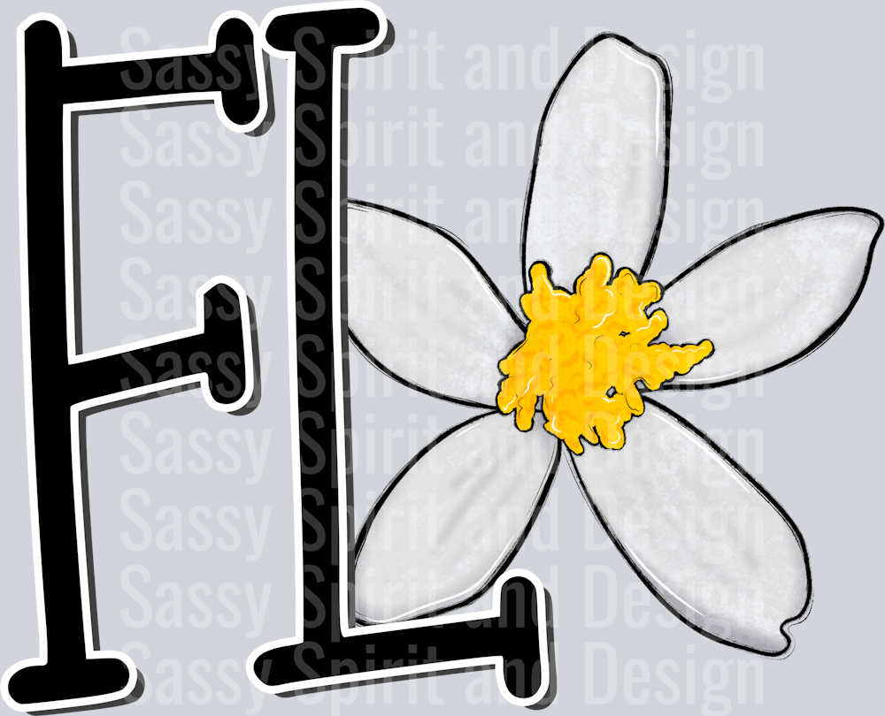 FLORIDA Whimsy Pockets