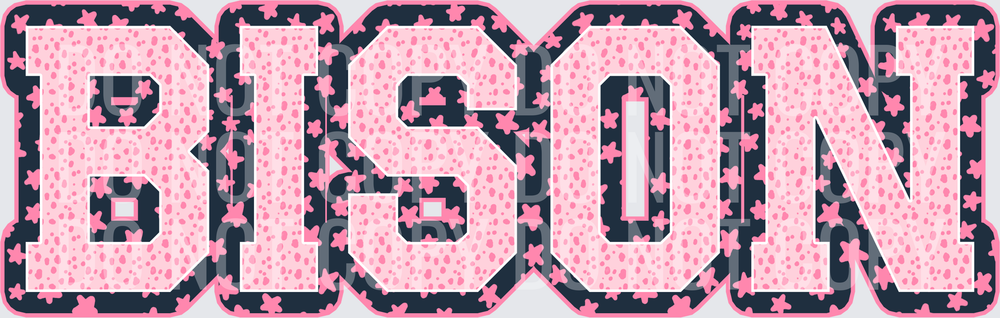 KayndiDesigns 08.26 Varsity Stars Bison