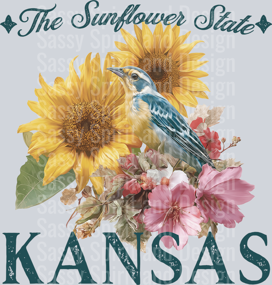 VINTAGE STATES KANSAS