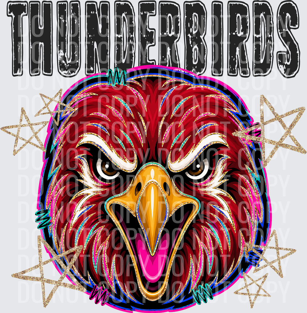 KayndiDesigns 08.26 Grunge Varsity Thunderbirds