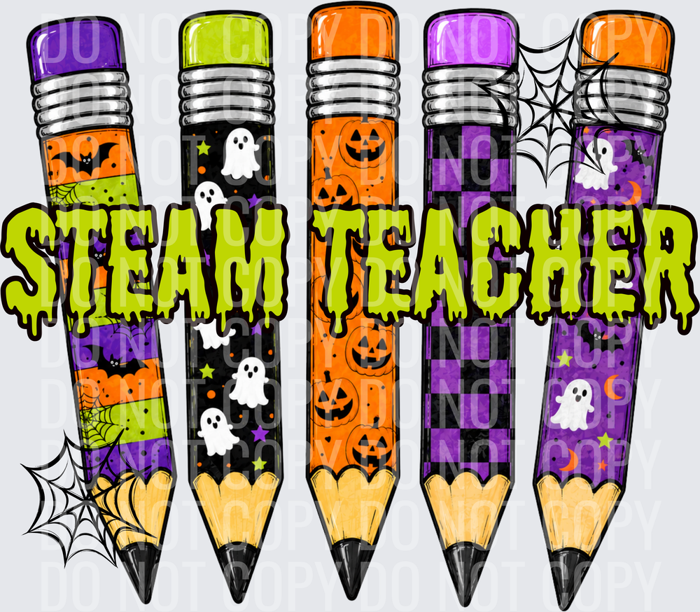 STEAM TEACHER