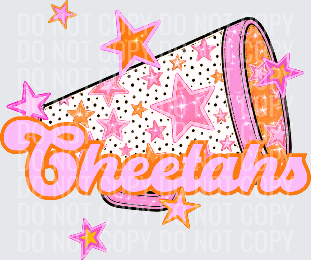 CHEETAHS (3)