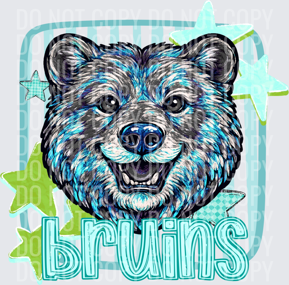 BRUINS