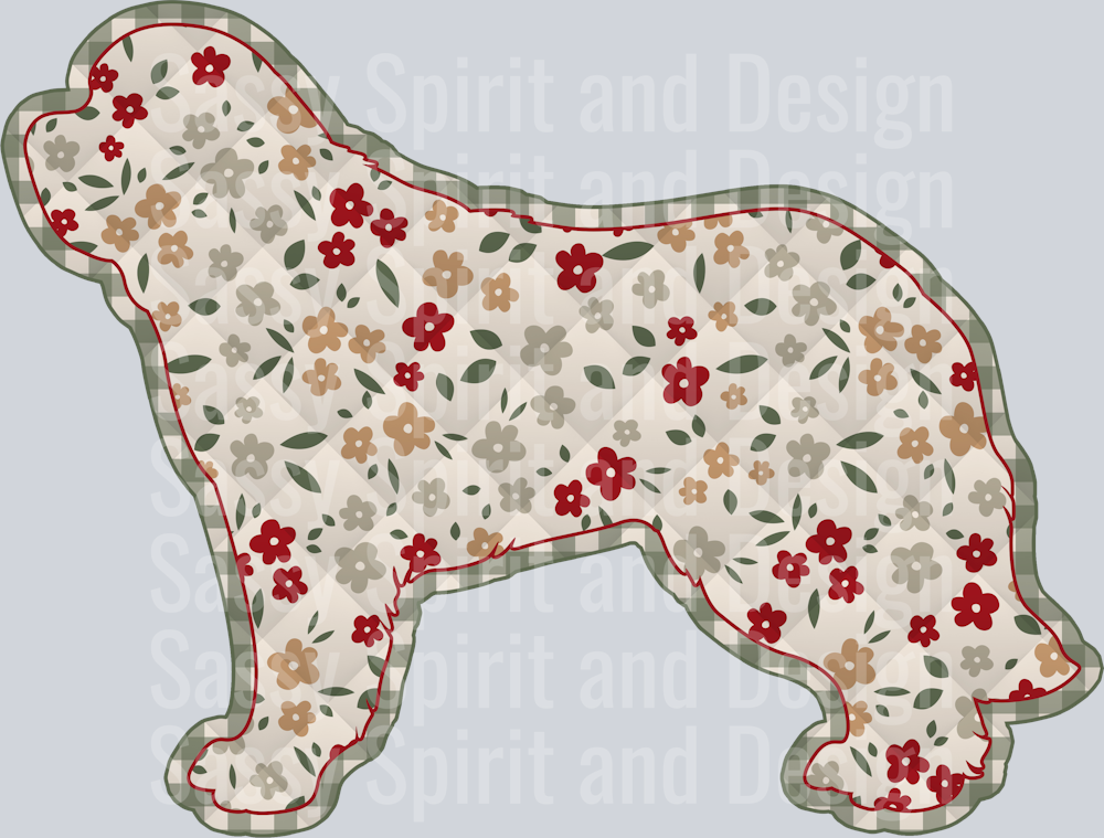 St Bernard Long Hair