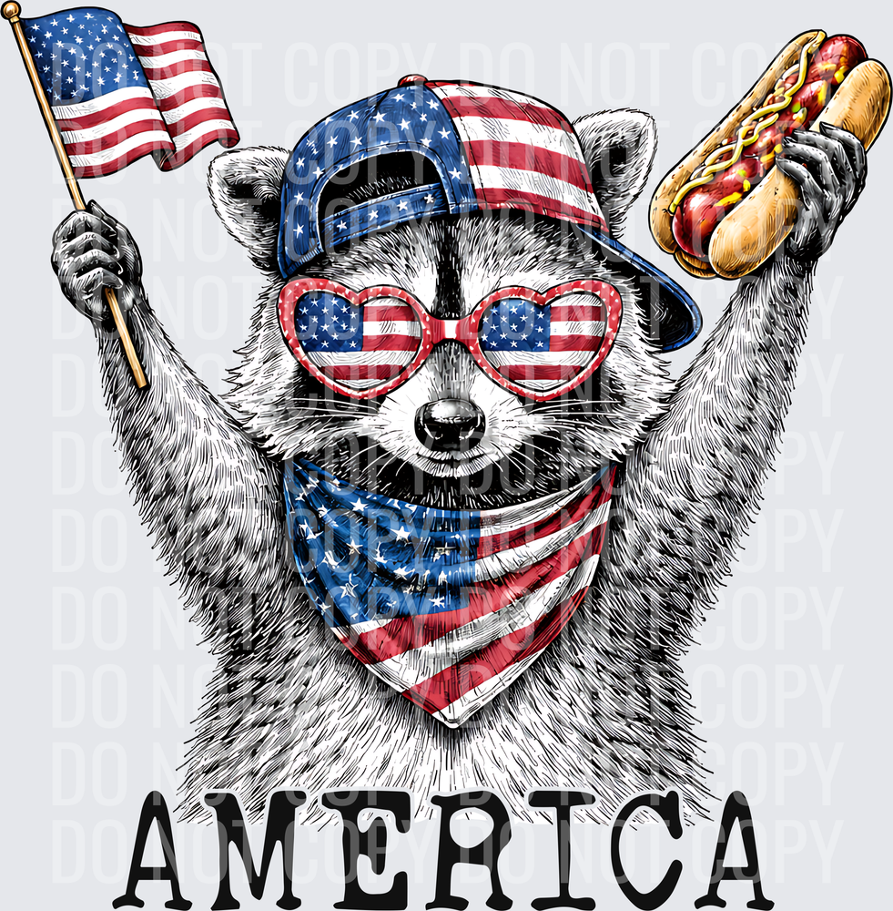 America Racoon And Hot Dog