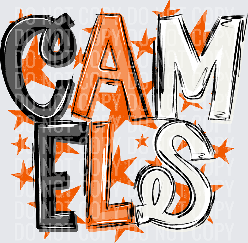 CAM-ELS