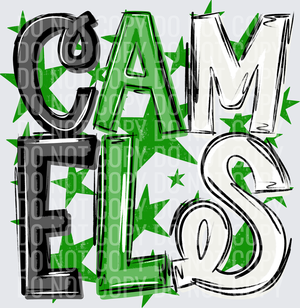 CAM-ELS