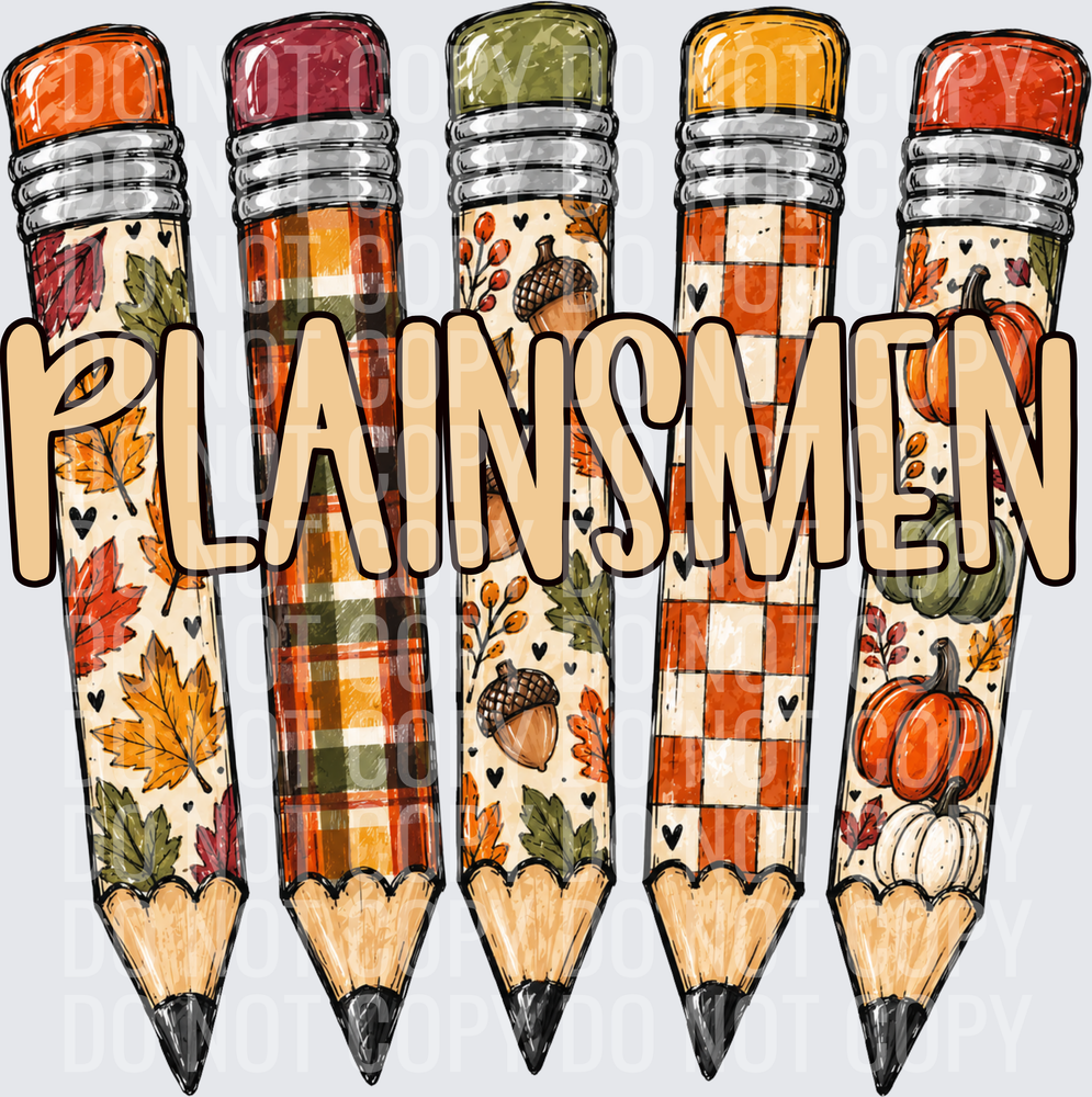 PLAINSMEN