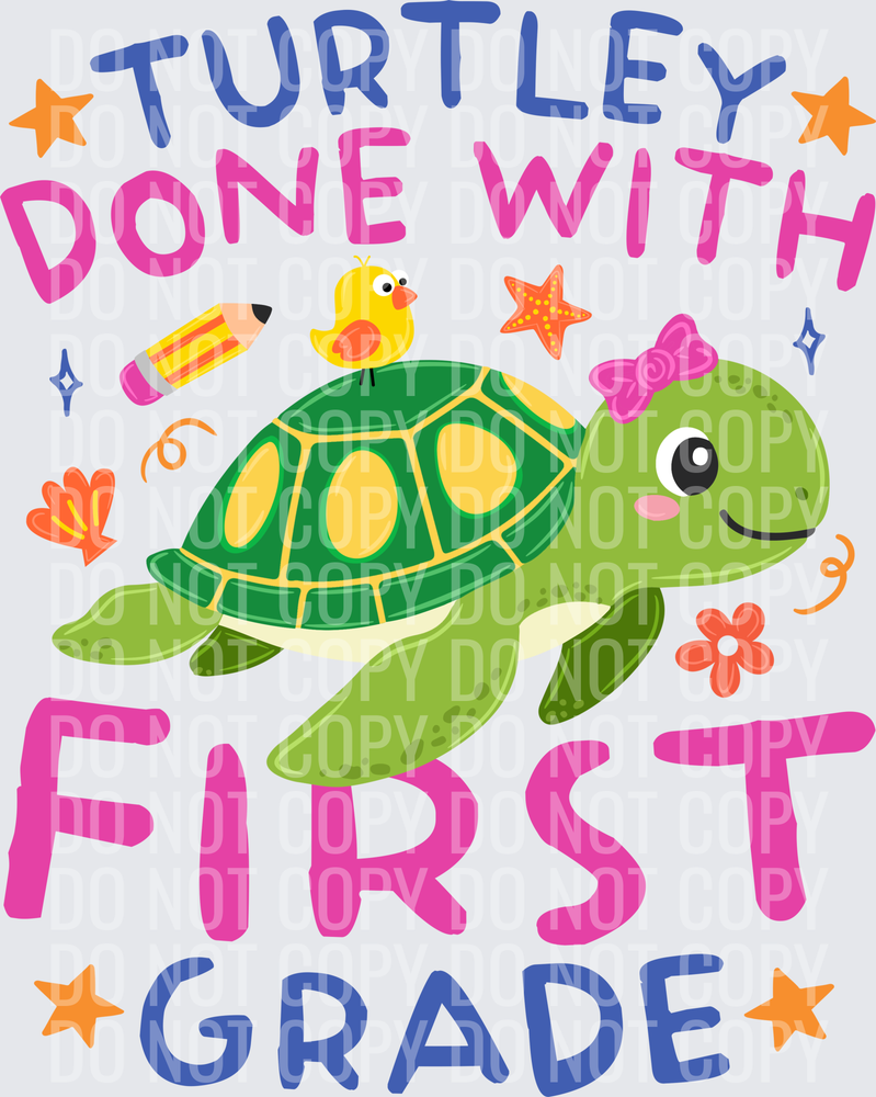 Turtle First Grade