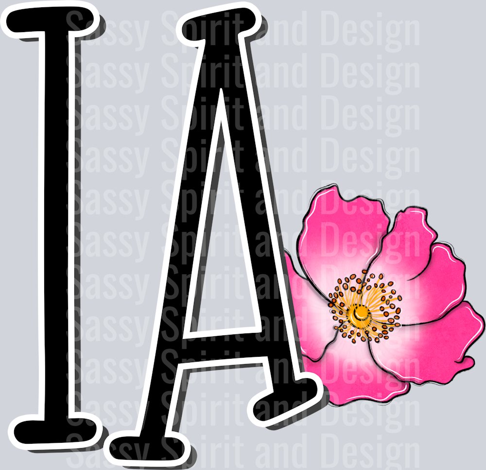 IOWA ALABAMA Whimsy Pockets