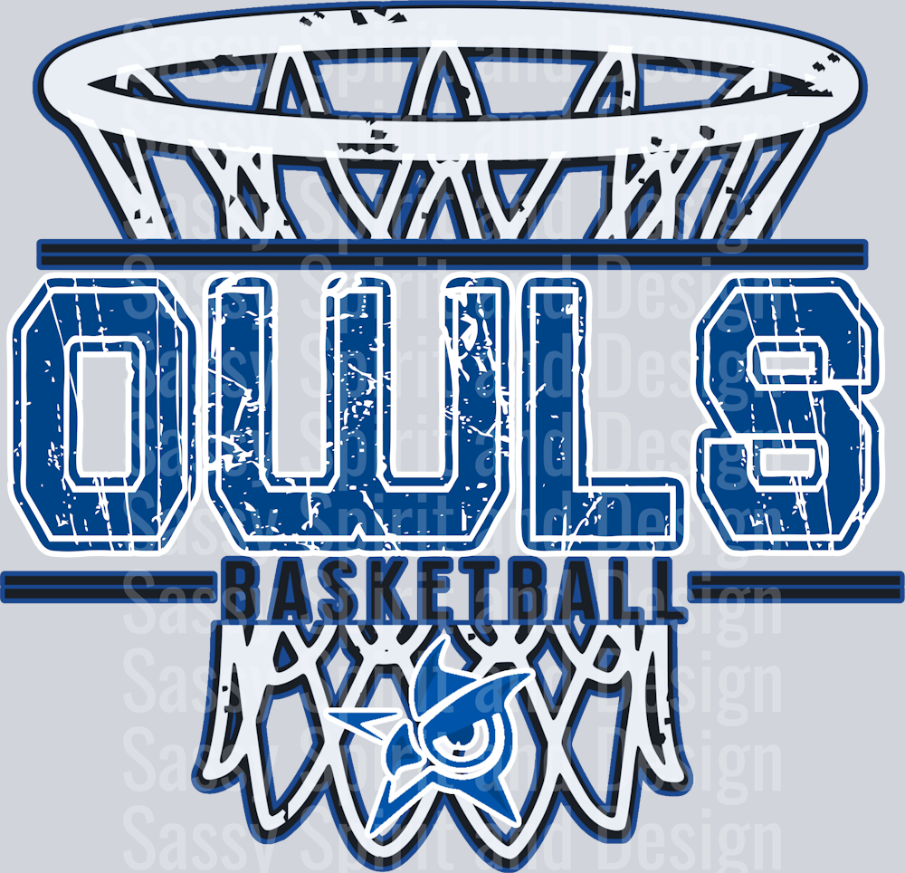 DISTRESSED BASKETBALL NET JOSHUA OWLS