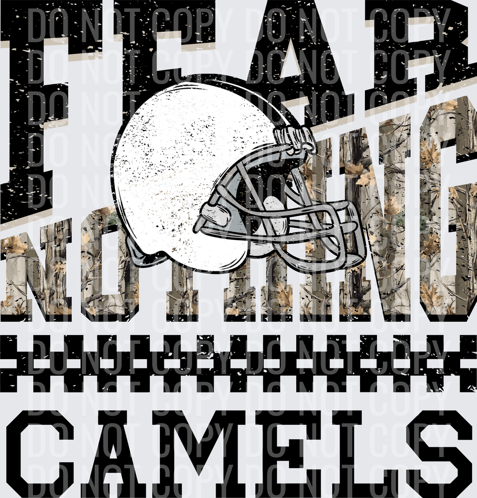 CAMELS