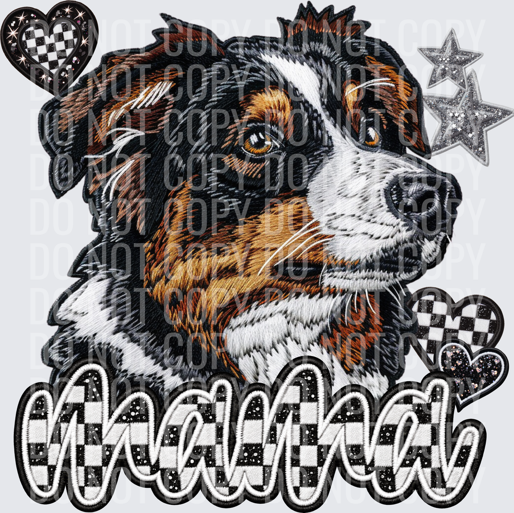 AustralianShephard