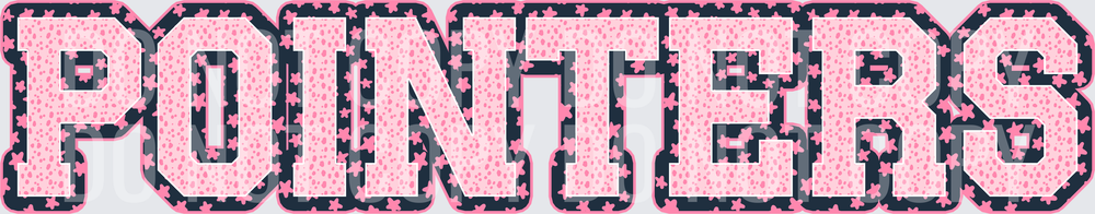 KayndiDesigns 08.26 Varsity Stars Pointers