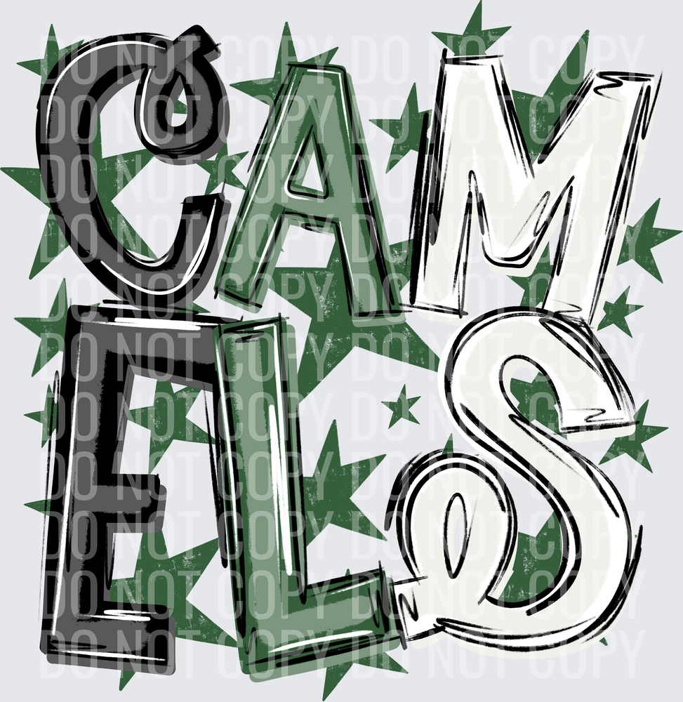 CAM-ELS