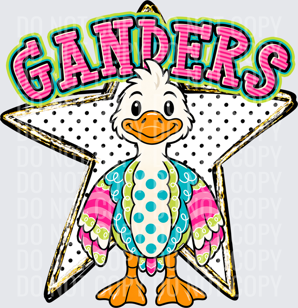 KayndiDesigns 10.26 Pattern Parade Star Ganders