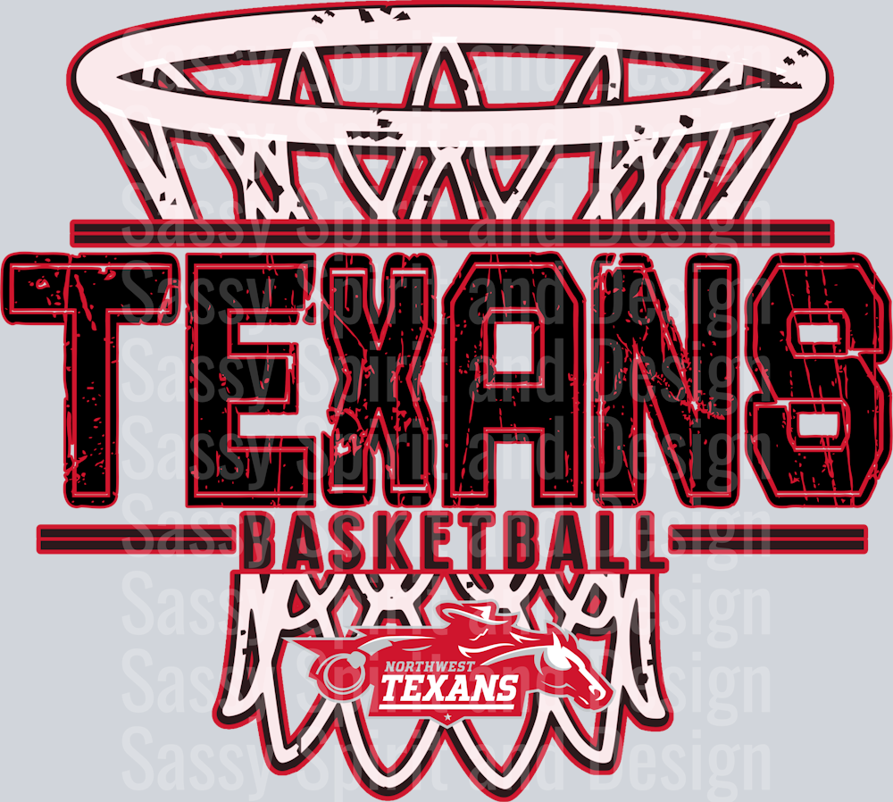 DISTRESSED BASKETBALL NET NW TEXANS