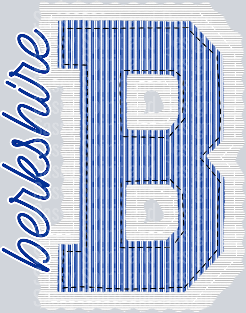 B BERKSHIRE BLUE SEERSUCKER