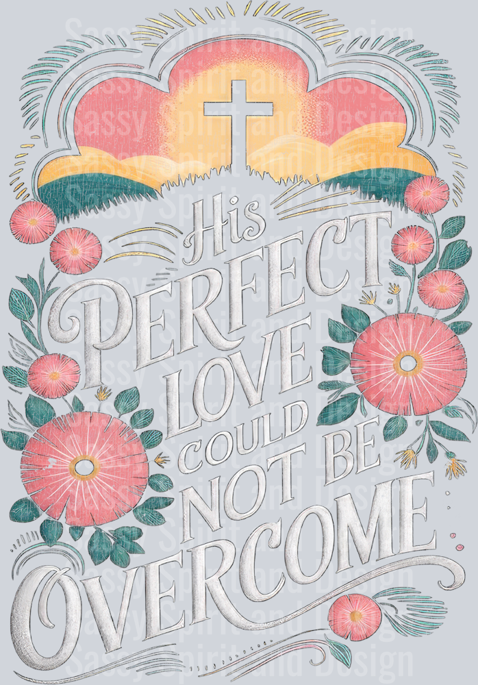 his_perfect_love_distressed