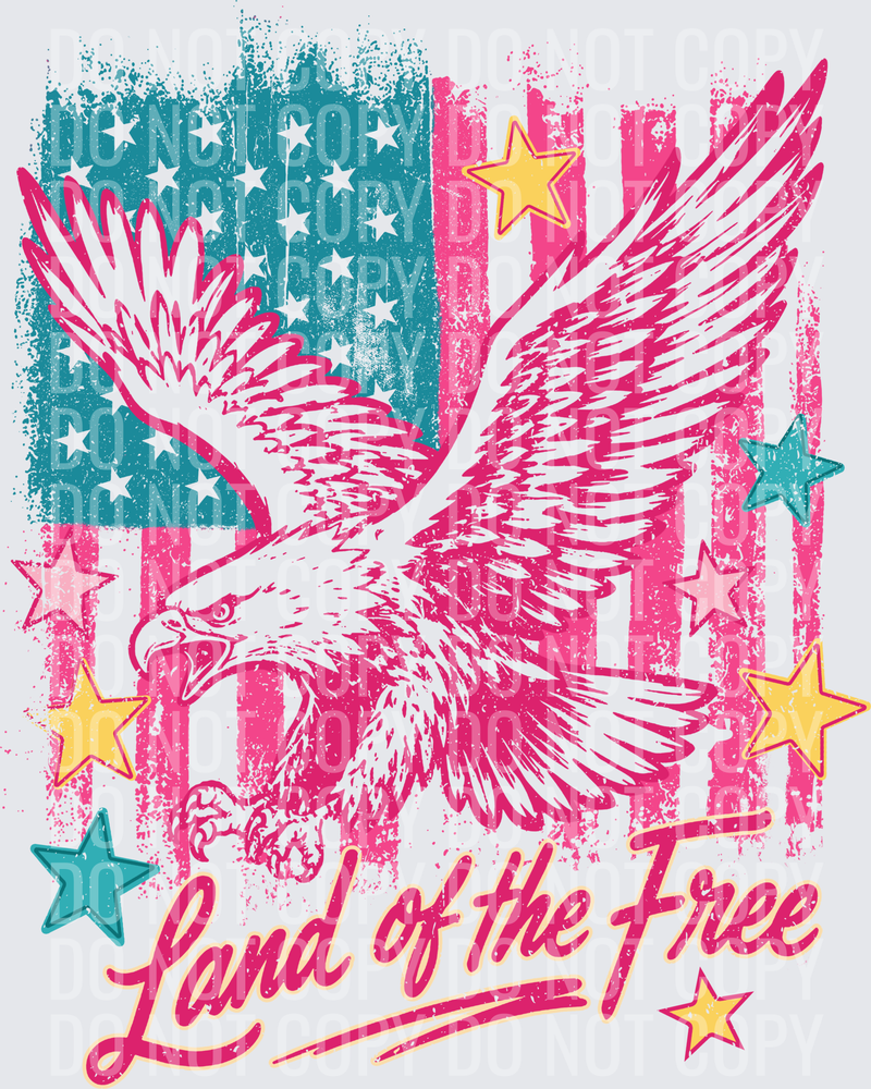 Land of the Free (1)