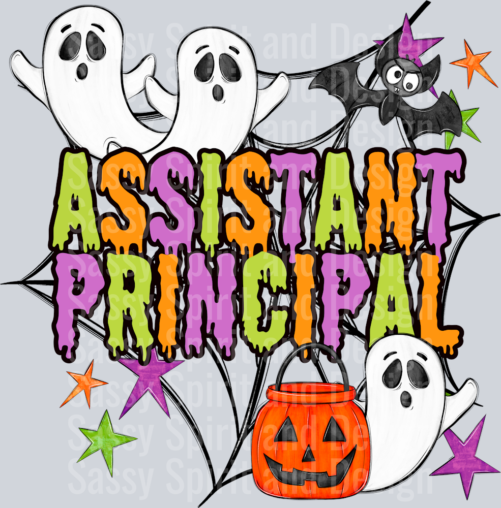 ASSISTANT PRINCIPAL