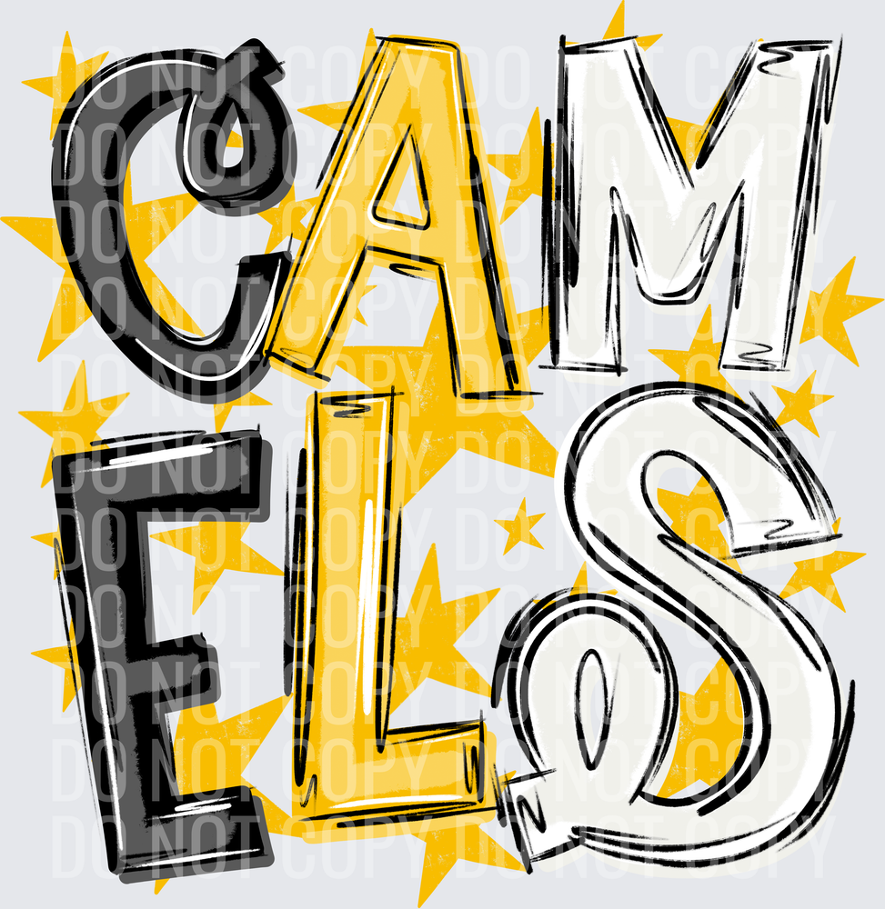 CAM-ELS