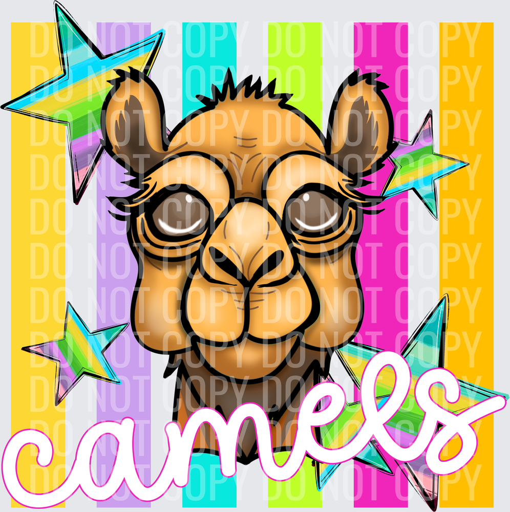 CAMELS