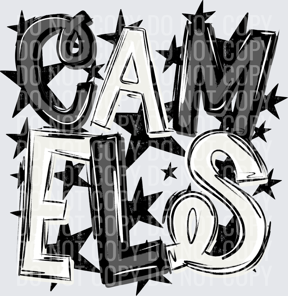 CAM-ELS