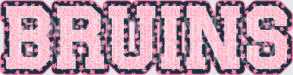 KayndiDesigns 08.26 Varsity Stars Bruins