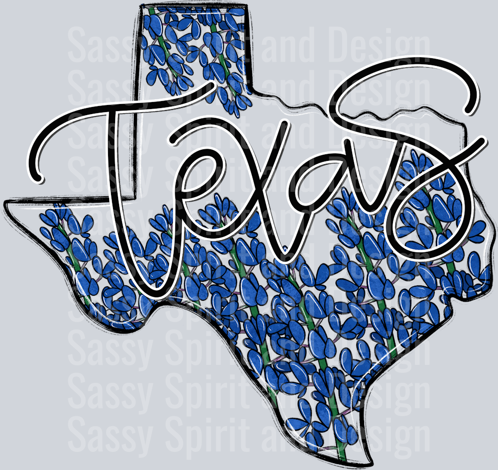 TEXAS WHIMSY STATES
