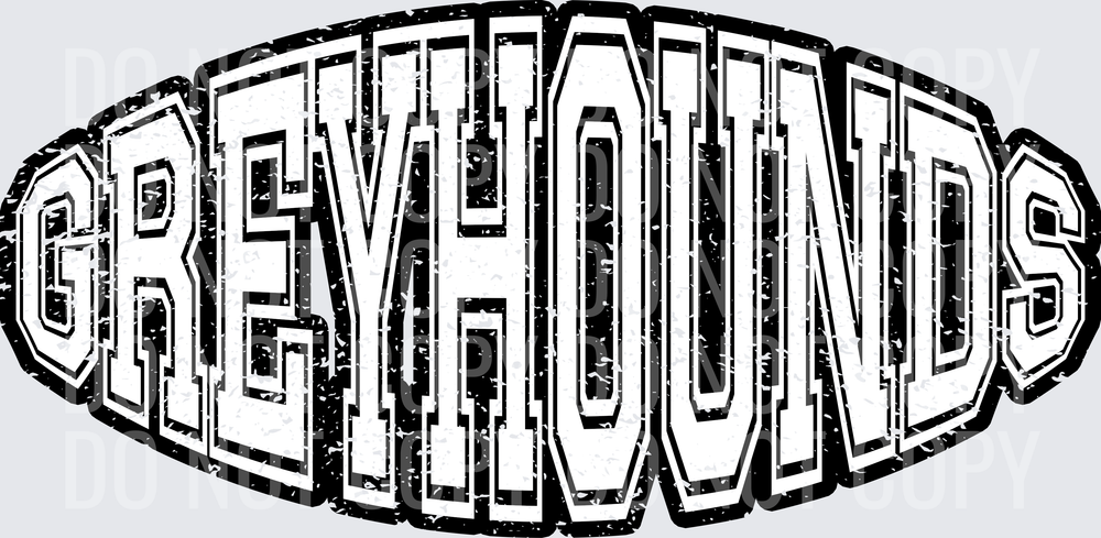 greyhounds